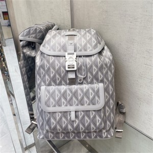 디올 힛더로드 백팩 M9966 2024/신상